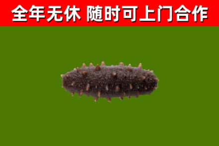 长垣烟酒回收干海参.jpg